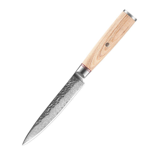 Damascus Steel Kitchen Knife Set